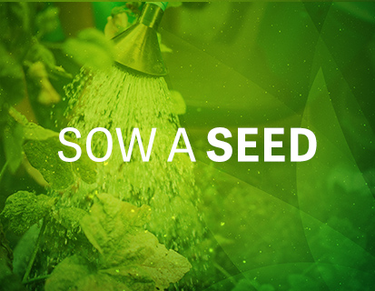 Sow A Seed